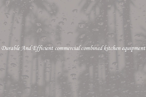 Durable And Efficient commercial combined kitchen equipment
