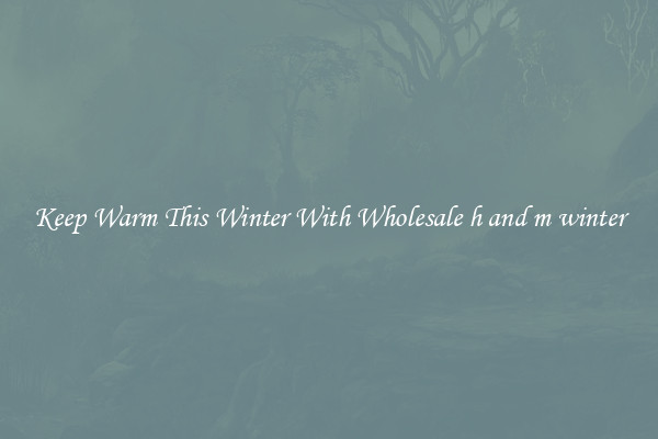 Keep Warm This Winter With Wholesale h and m winter