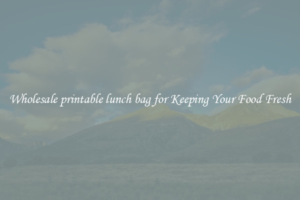 Wholesale printable lunch bag for Keeping Your Food Fresh