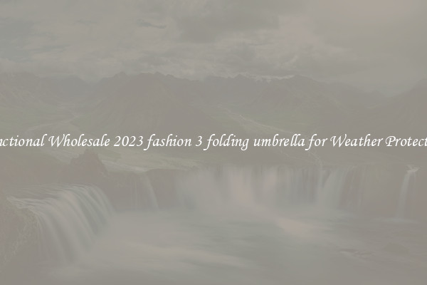 Functional Wholesale 2023 fashion 3 folding umbrella for Weather Protection 