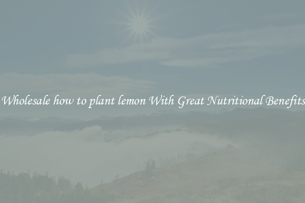 Wholesale how to plant lemon With Great Nutritional Benefits