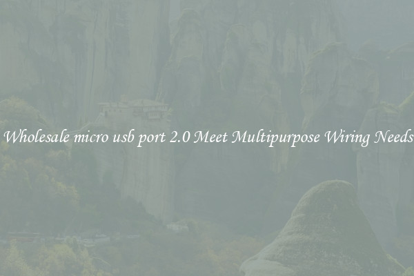 Wholesale micro usb port 2.0 Meet Multipurpose Wiring Needs