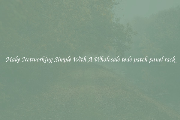 Make Networking Simple With A Wholesale tede patch panel rack