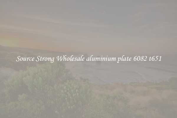Source Strong Wholesale aluminium plate 6082 t651