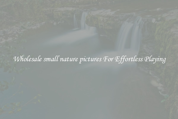 Wholesale small nature pictures For Effortless Playing