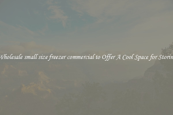 Wholesale small size freezer commercial to Offer A Cool Space for Storing