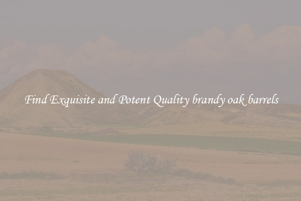 Find Exquisite and Potent Quality brandy oak barrels