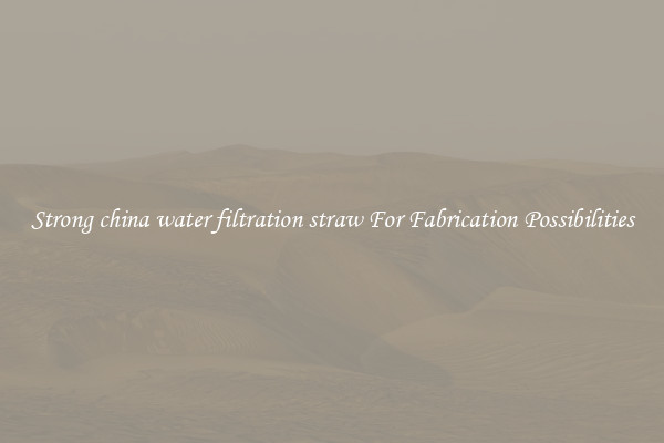 Strong china water filtration straw For Fabrication Possibilities