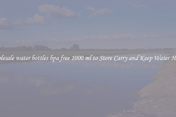 Wholesale water bottles bpa free 1000 ml to Store Carry and Keep Water Handy