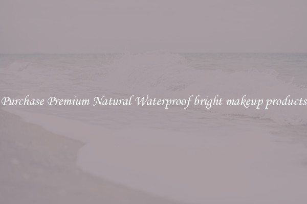 Purchase Premium Natural Waterproof bright makeup products