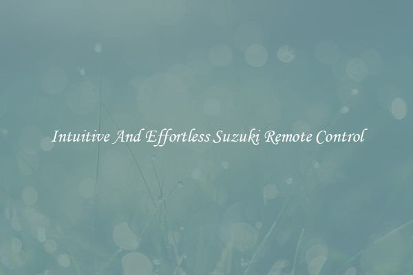 Intuitive And Effortless Suzuki Remote Control