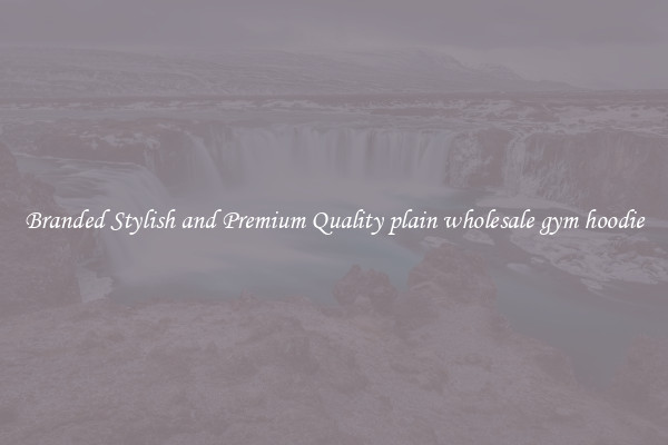 Branded Stylish and Premium Quality plain wholesale gym hoodie