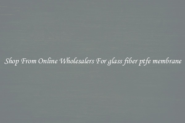 Shop From Online Wholesalers For glass fiber ptfe membrane