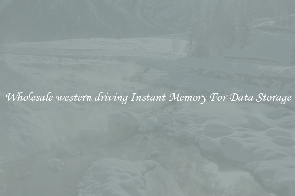 Wholesale western driving Instant Memory For Data Storage