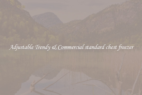 Adjustable Trendy & Commercial standard chest freezer