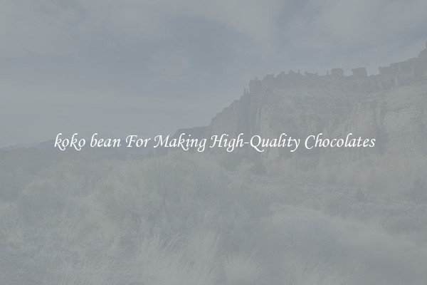 koko bean For Making High-Quality Chocolates