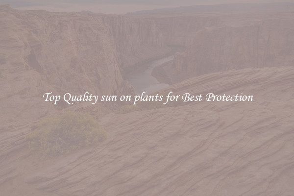 Top Quality sun on plants for Best Protection
