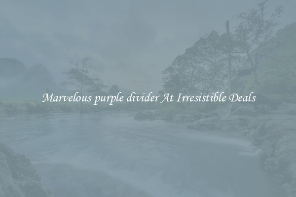 Marvelous purple divider At Irresistible Deals