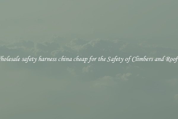 Wholesale safety harness china cheap for the Safety of Climbers and Roofers