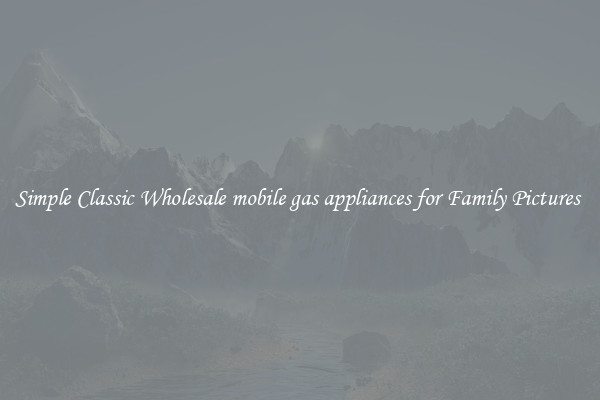 Simple Classic Wholesale mobile gas appliances for Family Pictures 